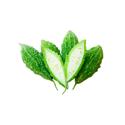 Insulin Plant