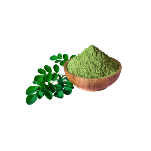 Insulin Plant